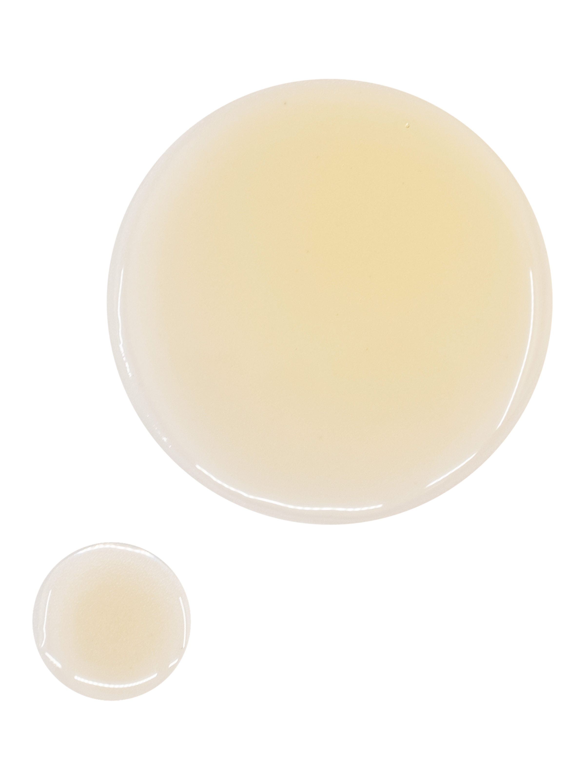 OSEA Undaria Algae Body Oil