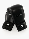 Equinox Century Boxing Gloves