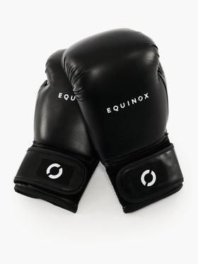 Equinox Century Boxing Gloves