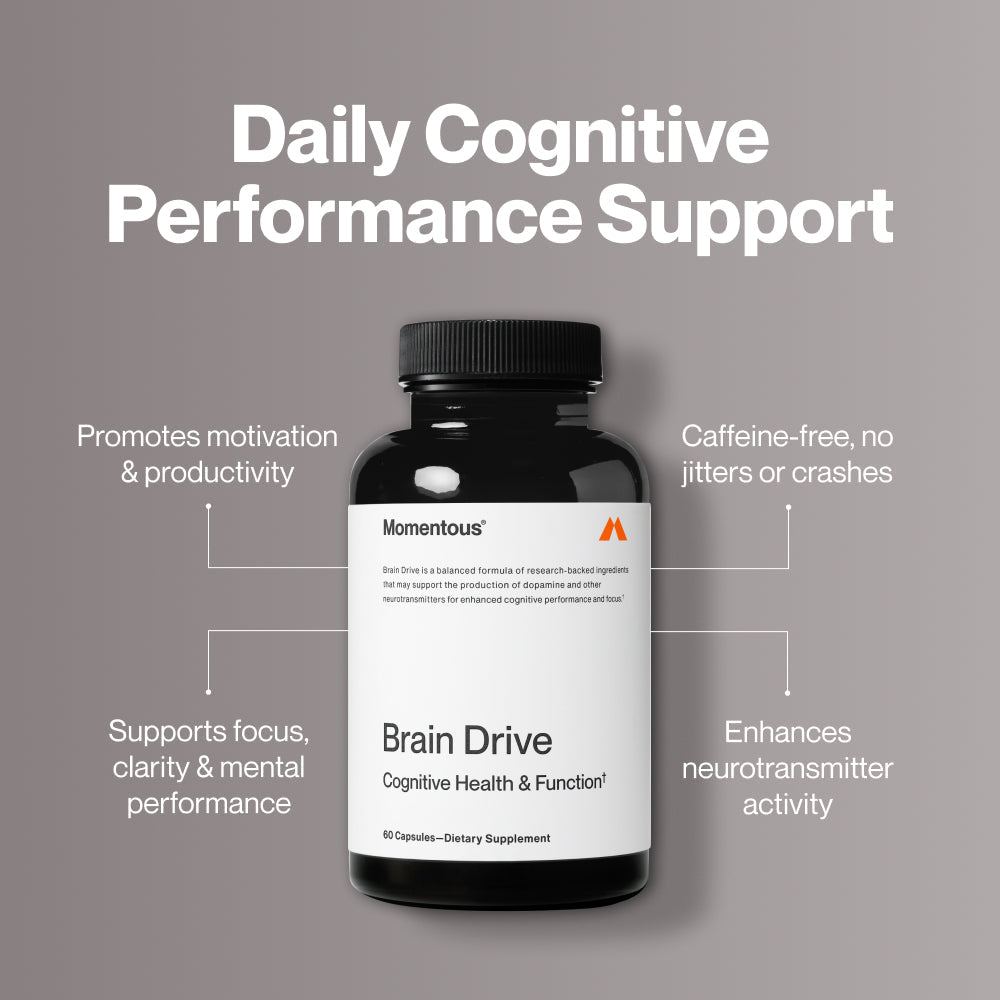 Brain Drive