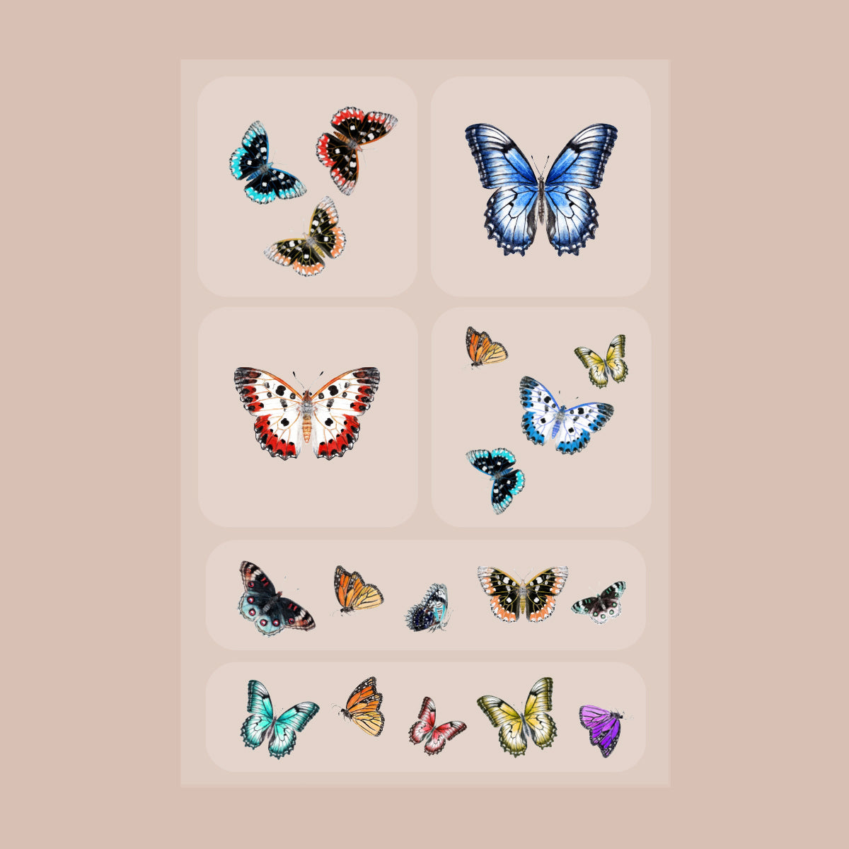 barrière Brains & Beauty