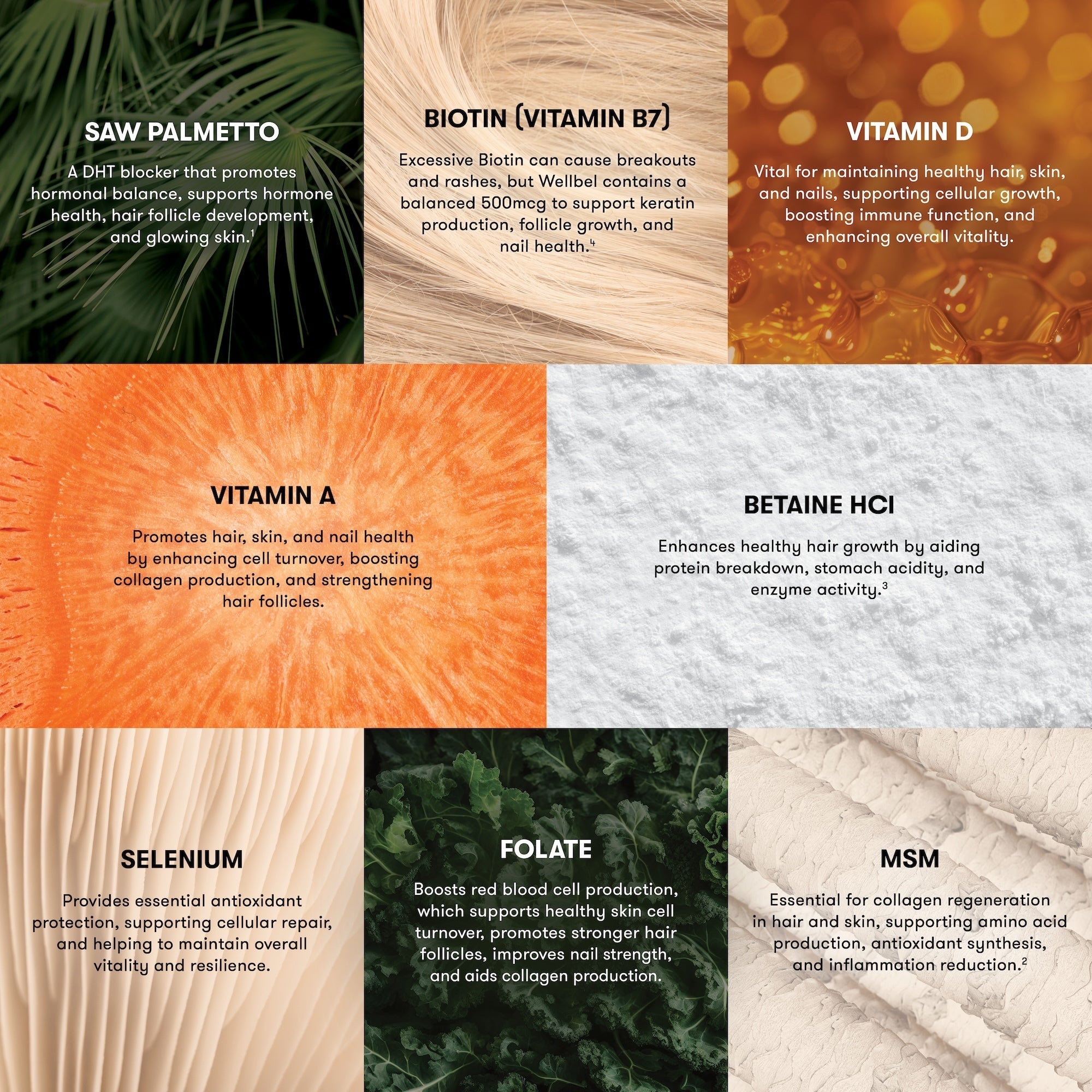 Wellbel Women Bundle